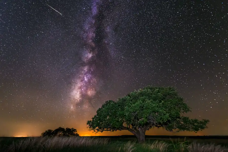 Meteoro captado sobre uma árvore no Parque Fort Griffin, nos Estados Unidos. 