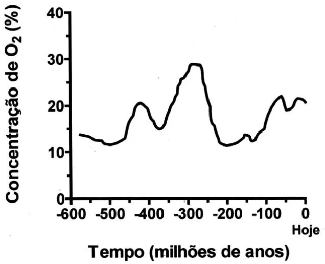 Gráfico com a concentração de O2 na Terra da questão do Enem 2005