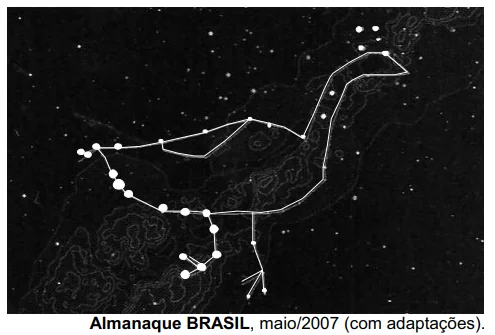 Representação da Ema pelos povos indígenas na questão do Enem de 2008