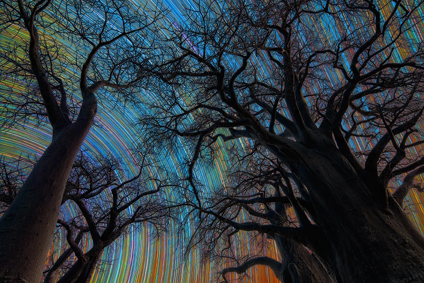 Botswana Star Trail © Stefano Pellegrini