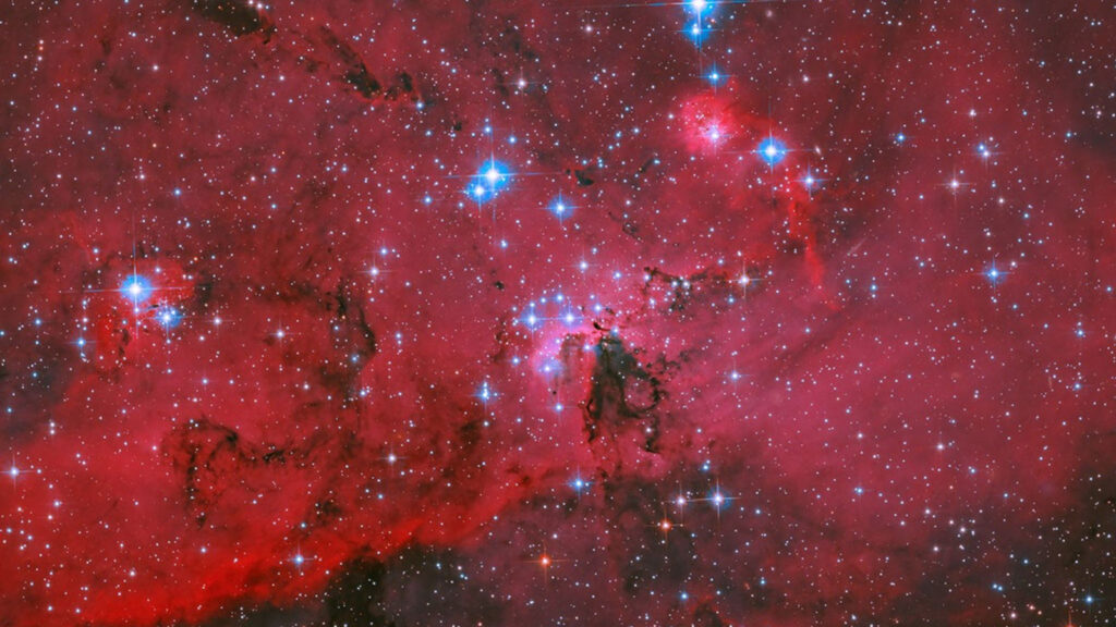 Hubble revela nuvem onde 2.500 estrelas estão nascendo 1 Uma paisagem brilhante de gás e poeira é aquecida e iluminada por uma população próspera de estrelas jovens na região LH 95 da Grande Nuvem de Magalhães. Imagem: NASA/ESA
