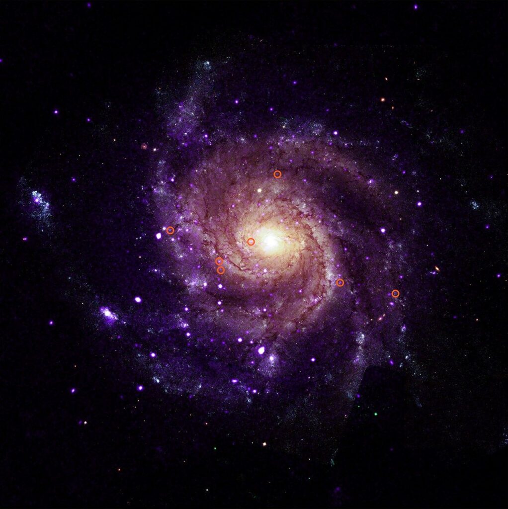 M101 com círculos identificando os sete dos objetos recém-descobertos (Crédito: Raio-X: NASA/CXC/Univ. de Alabama/M. Muhibullah et al.; Óptico: NASA/ESA/STScI; Processamento de Imagem: NASA/CXC/SAO/N. - Wolk)