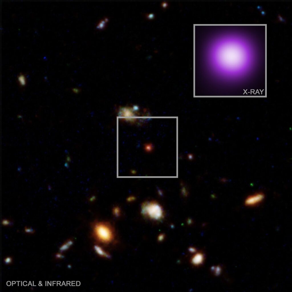 Esta imagem de um objeto especial, apelidado de “ponto de raio-X”, representa uma descoberta do Chandra que poderia ajudar a explicar a natureza de uma misteriosa classe de fontes no Universo primitivo. A imagem óptica e infravermelha do Hubble mostra a região ao redor do ponto de raio-X, enquanto a imagem de raio-X Chandra mostra o close-up. Antes desta descoberta, “pequenos pontos vermelhos” vistos pelo telescópio James Webb não eram conhecidos por emitir raios-X. Este faz, o que leva os pesquisadores a propor que o ponto de raio-X representa uma fase de transição anteriormente desconhecida de buracos negros supermassivos crescentes. Imagem: NASA/ESA
